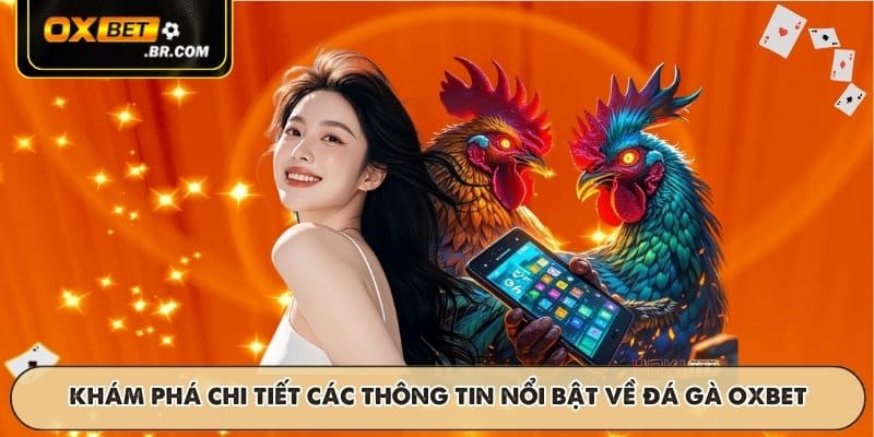 Khám phá chi tiết các thông tin nổi bật về đá gà OXBET