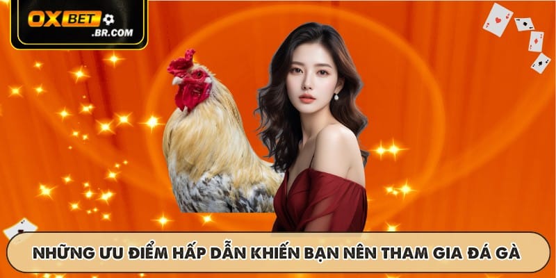 Những ưu điểm hấp dẫn khiến bạn nên tham gia đá gà