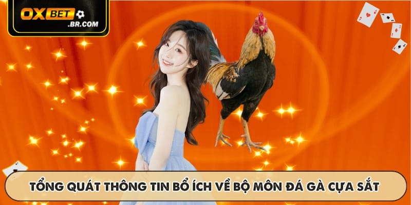 Tổng quát những thông tin bổ ích về bộ môn đá gà cựa sắt